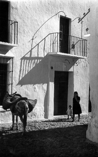 2-bestia en la calle de yunquera